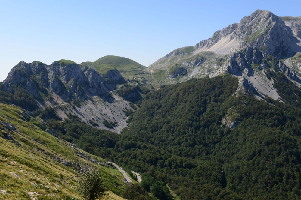 Bosco della Vallonina