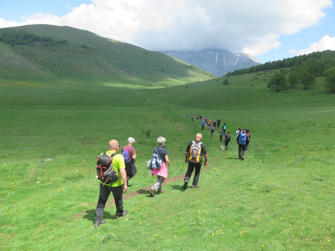 In In cammino nei Parchi Castelluccio di Norcia 1