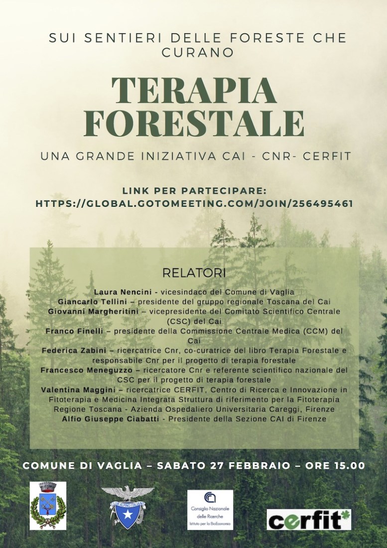 Vaglia Terapia Forestale