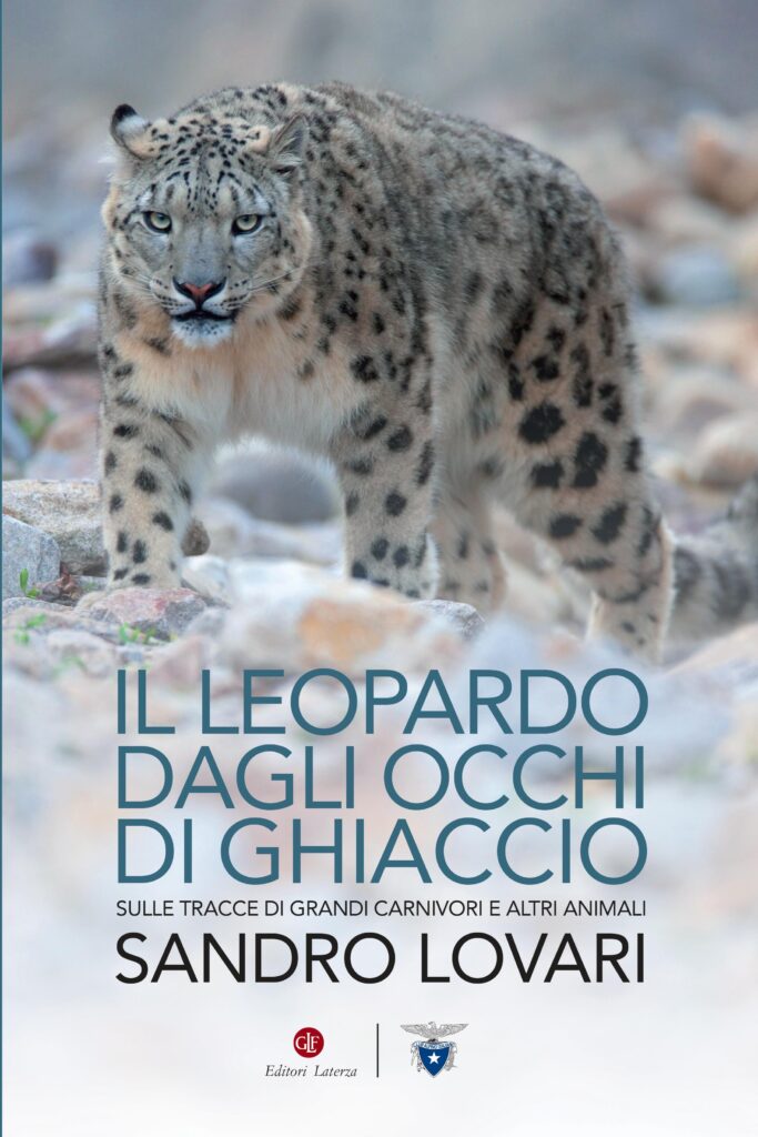 Leopardo dagli occhi di ghiaccio