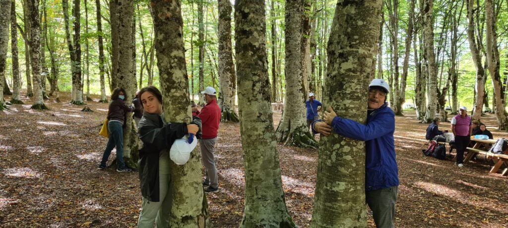 Castrovillari montagnaterapia abbraccio alberi