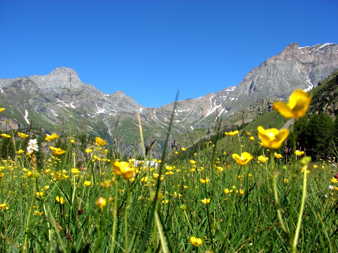 Balme - Il Pian della Mussa 