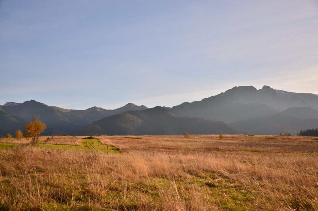 Tatra oggi