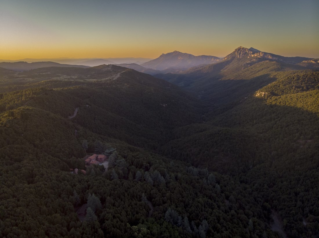 Foresta di Montes