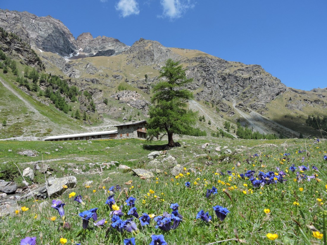 Vallone di Saint Barthélemy maggio 2022