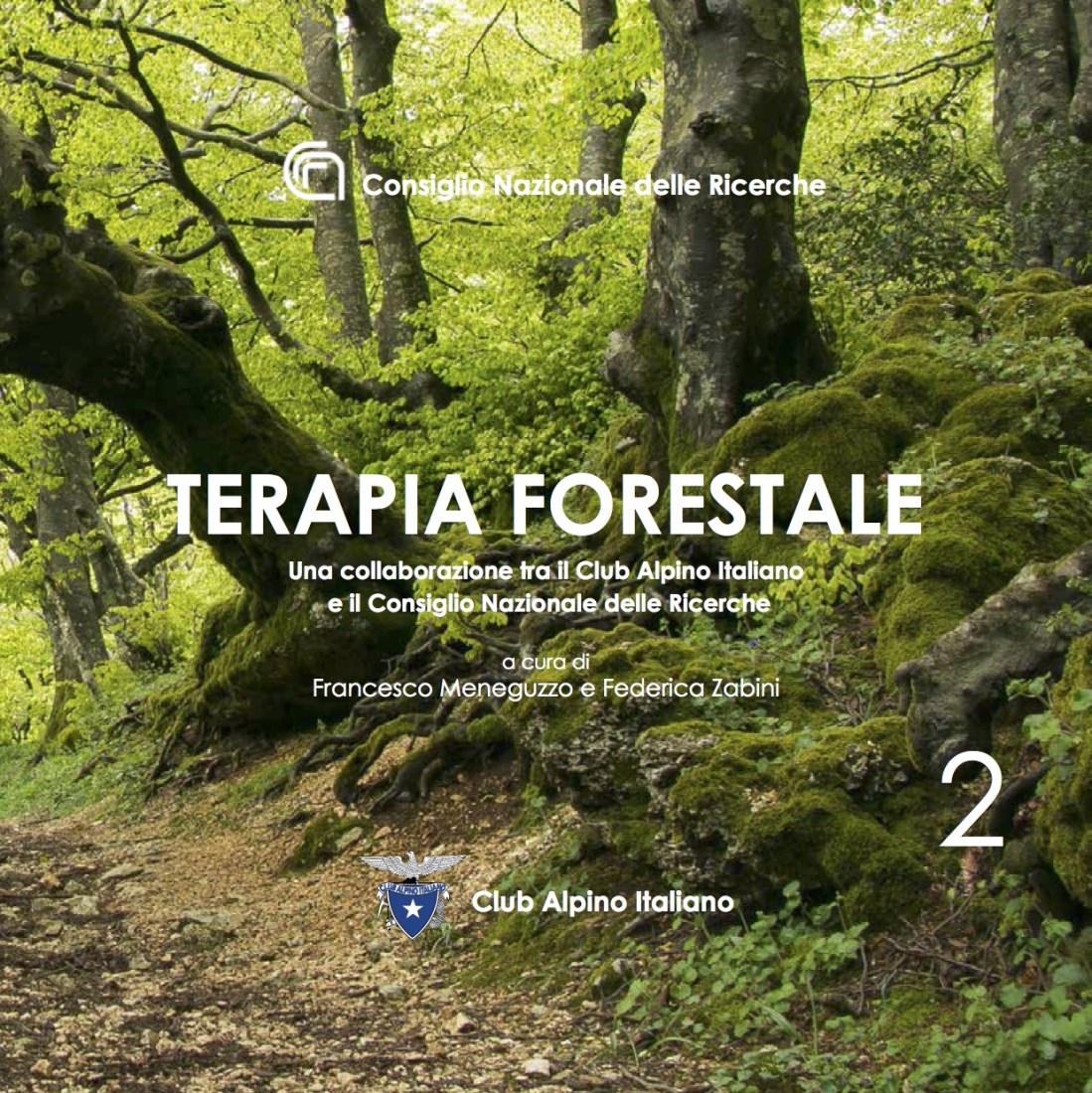 Terapia forestale 2