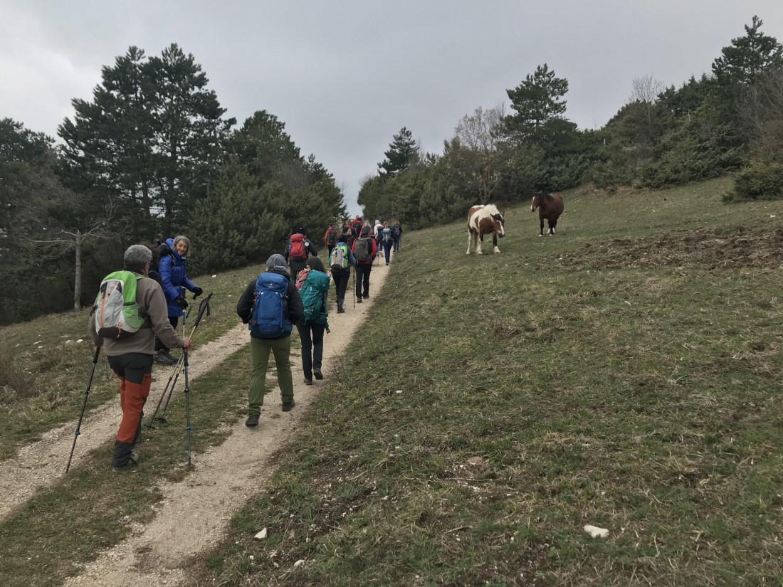 Corso montagnaterapia umbria