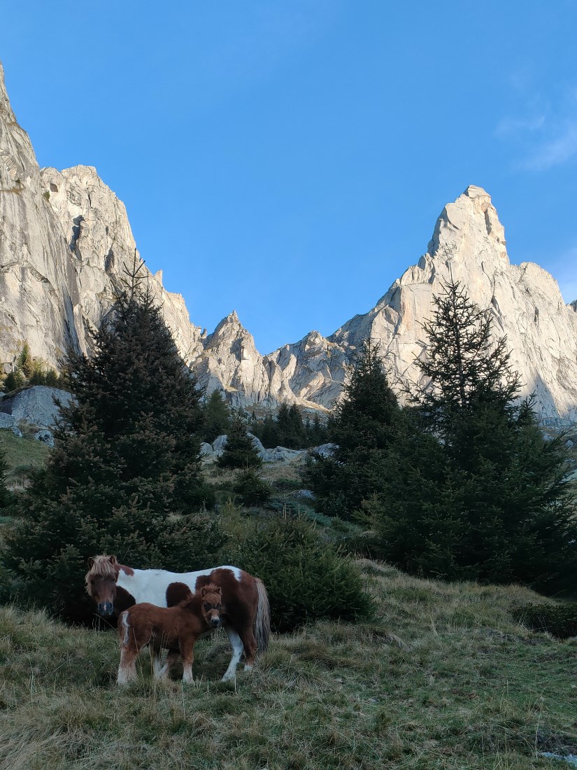 Durante l'avvicinamento al Picco Luigi Amedeo